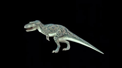 Albertosaurus Idle 3