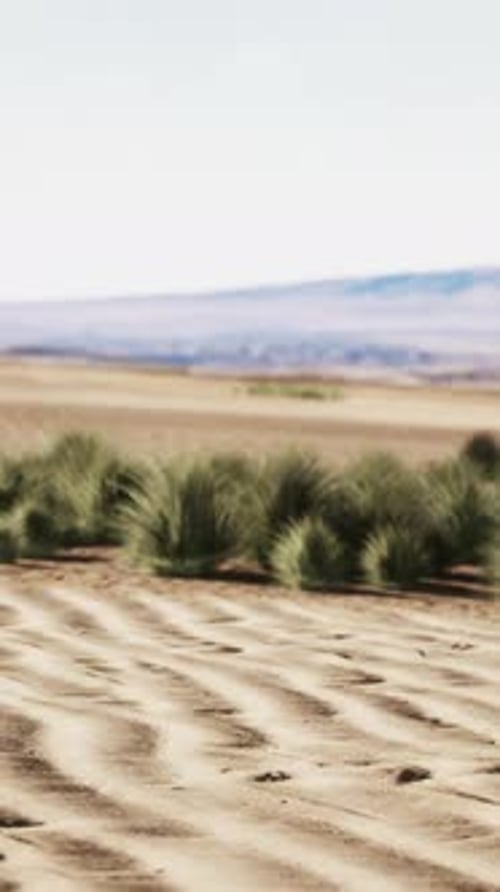 Beautiful Yellow Orange Sand Dune in Desert in Middle Asia