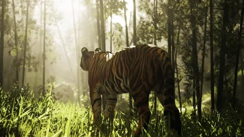 Animated Realistic 3D Tiger in Sunny Bamboo Forest