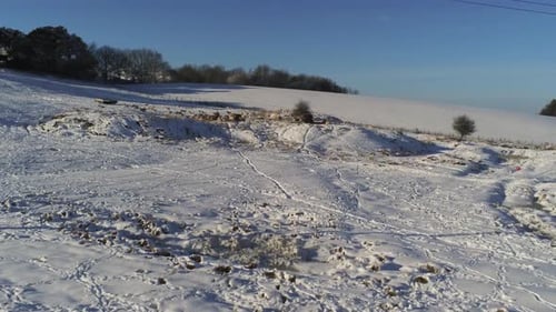 Sheep grazing snow covered countryside agricultural rural hill deep snowfall aerial