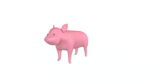 Pig rotating in loop on white background