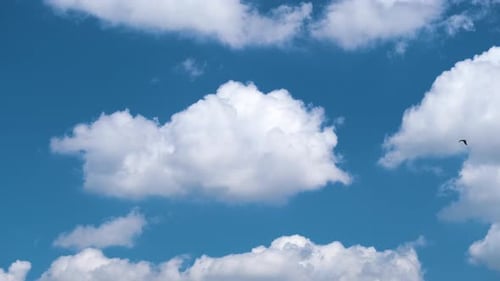 Beautiful Blue Sky with Fluffy White Clouds
