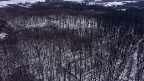 Aerial shot over a forest in winter