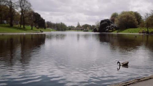 Slow Motion Park Lake In Liverpool