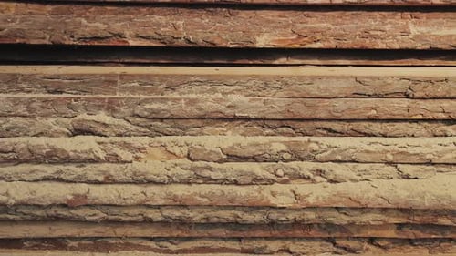 Wood Factory Stock and Lumber Board with Nature Business Export the Camera Moves Forward Slow Motion