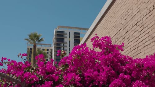 Downtown Phoenix, Arizona S for Establishing Setting S, Commercial Videos, or For