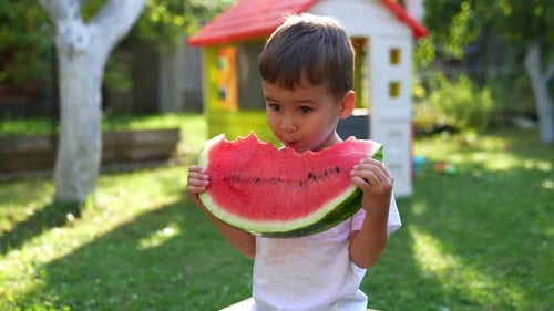 Cute Boy Enjoys Watermelon Slice Outdoors