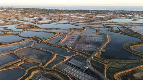 Salt Pan Serenity Aerial View of Coastal Marshland Harvest Fields
