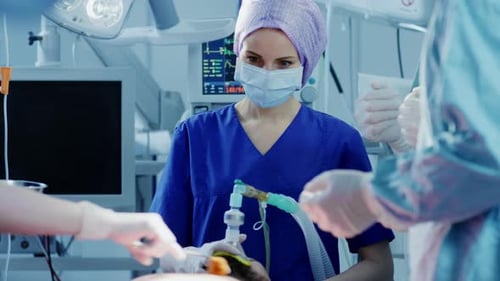 In the Hospital Operating Room Anesthesiologist Applies Anesthesia Mask to a Patient, Assistants Di