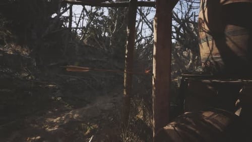 Arrow Aimed at a Target in a Dense Wooded Area During Daylight Hours