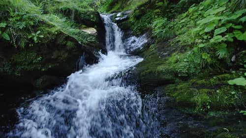 Aerial drone shot, approach to a small waterfall in a mountain forest adorned with lush vegetation.
