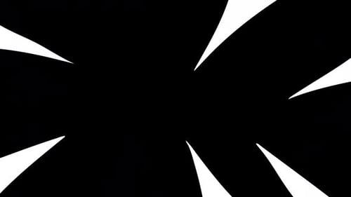 Fast Dynamic Geometric Burst Reveal