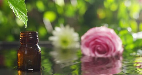blend of essential oils with water drops, scents and aromas in aromatherapy for wellness and spa.
r