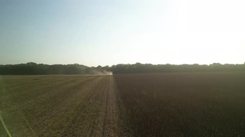 Vue aérienne d'un champ de tournesols en Ukraine