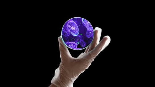 Gloved Hand Holding Petri Dish with Glowing Microorganisms Animation