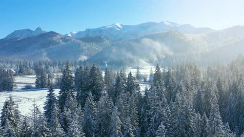 Flight Over a Fabulous Snowcovered Forest on the Slopes of the Mountains