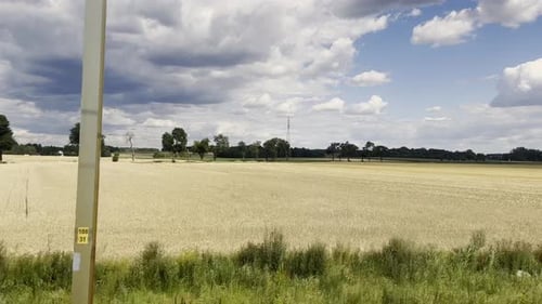 Blick auf gelbe Felder und bewölkten Himmel aus dem Seitenfenster von Schnellzugfahrten auf der Eisenbahn