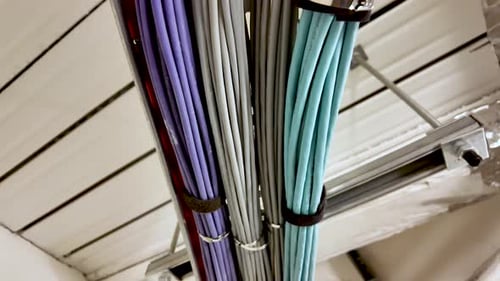 Network cables neatly hanging from ceiling infrastructure