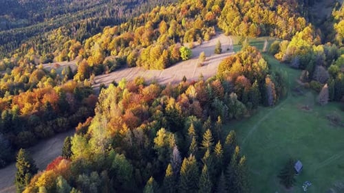 Aerial Drone Flight Sideways Over Colorful Autumn Forest and Open Meadows in Mountain Valley at