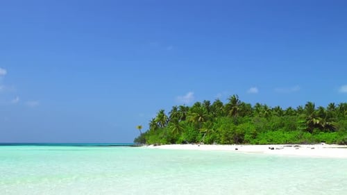 Tropical Island in Indian Ocean Wild and Uninhabited Coast with Palm Trees