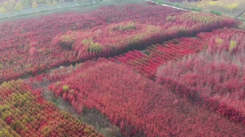 Aerial view of countryside