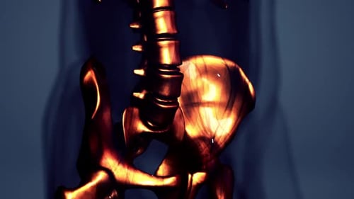 Glowing Golden Human Skeleton 3D Anatomy Scan