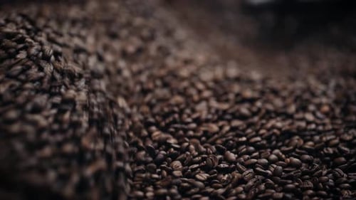 Coffee Roasting Process - Coffee beans in roasting Close up in slow motion.