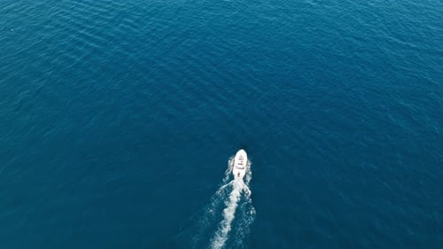 Motorboat Draws White Wake in the Sea