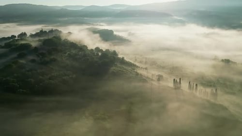 A serene morning in Tuscany: rolling hills shrouded in soft mist, a cypress-lined road disappearing