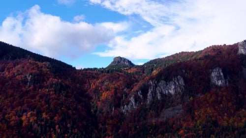 Luftaufnahme von einer Drohne: Herbst, Bäume im Wald, bunt gefärbt, Felsen in einem Wald
