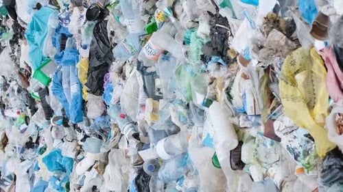 Collection of Discarded Plastic Bottles and Bags