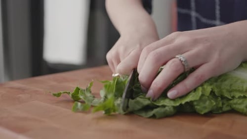 Woman cuts green lettuce on a wooden cutting board