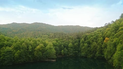 Autumn Forest and Lake