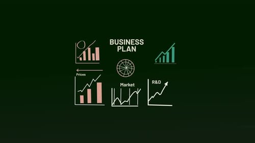 Animated Business Plan Infographics With Data Charts