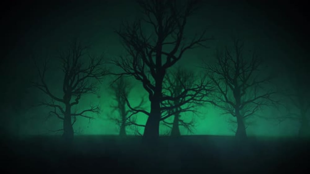 Horror Forest Background, Backgrounds Motion Graphics ft. spooky ...