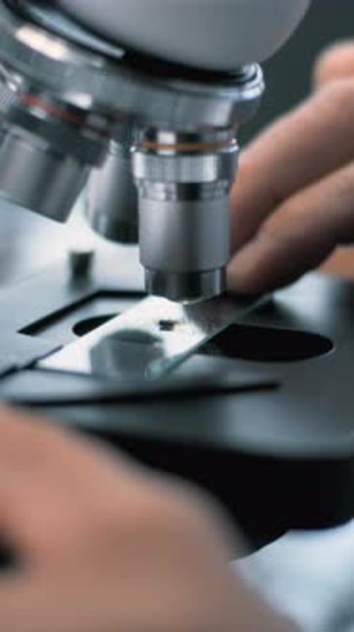 Imagem aproximada do microbiologista colocando espécime fóssil sob microscópio