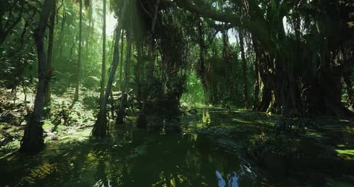 Habitat serein avec des racines couvertes de mousse et des nénuphars flottants