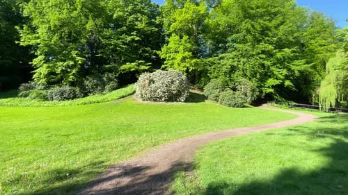 on the path in a green park