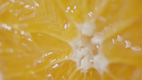 Orange Fruit