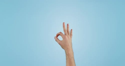 Hand, OK sign and emoji with feedback or review in studio, agreement and thank you with support
