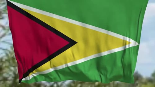 Guyana Flag Waving in Realistic Slow Motion Loop