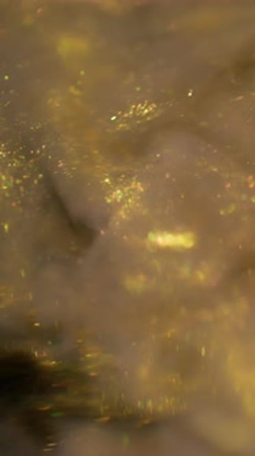 Glittering Gold Dust Particles Background