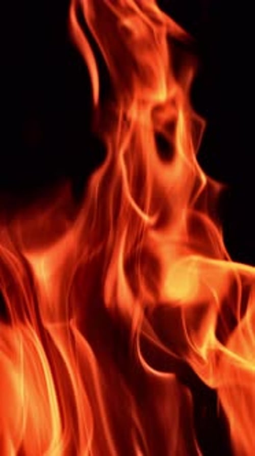 Wunderschöne rote und orange Flammen brennenden Feuers. Blaze isoliert auf schwarzem Hintergrund. Nahaufnahme.