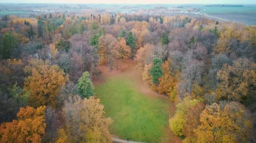 Aerial Dron Shot of the Abandoned Manor House in the Park in Autumn Time, Eleja Village, Latvia