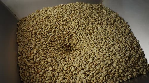 Natural Organic Green Coffee Beans