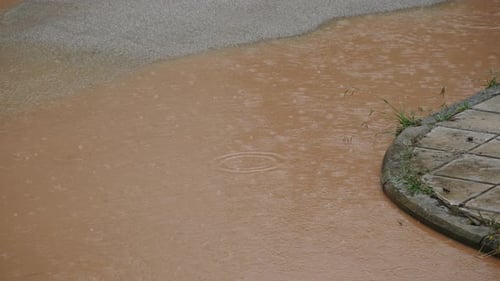 Stream of Dirty Water Flows Along Asphalt Road in City