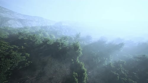 Misty Forest and Mountain Range Aerial Flyover