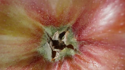 Big red apple in the sun, blue sky, super zoom. Dolly slider extreme close-up. Laowa Probe