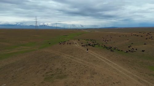 Aerial view of the Green Mountains and peaceful nature. heaven, green hills, peaceful nature, Afghan