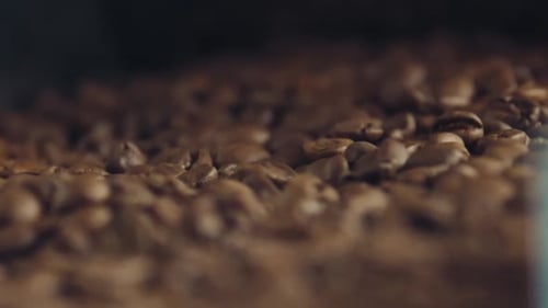 Close Up of Dark Coffee Beans